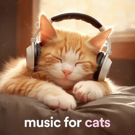 Album cover of music for cats (For calm, happy cats)