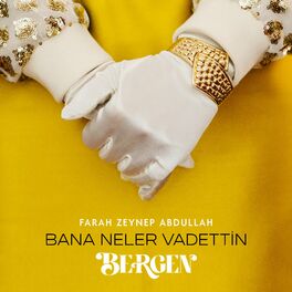 Album cover of Bana Neler Vadettin