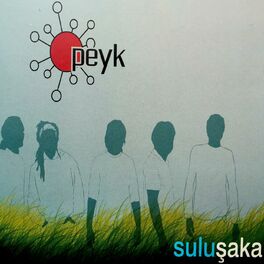 Album cover of Suluşaka