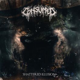 Album cover of Shattered Illusion