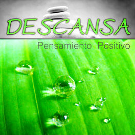 Album cover of Descansa - Música Relajante Zen para Pensamiento Positivo, Terapias de Relajacion y Ejercicios de Meditación, Hilo Musical con Son