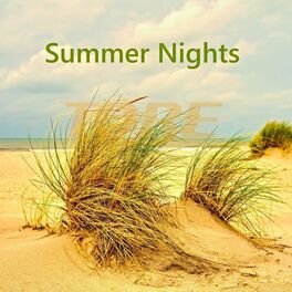 Album cover of Summer Nights (Radio Edit)