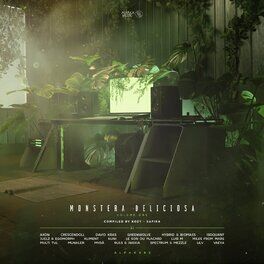 Album cover of Mirage Fragments