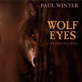 Album cover of Wolf Eyes - A Retrospective