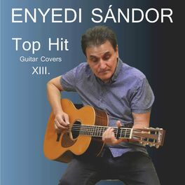 Album cover of Top Hit Guitar Covers XIII.