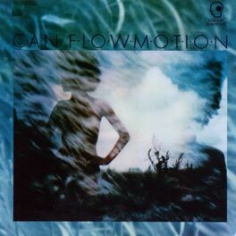 Album cover of Flow Motion