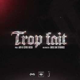 Album cover of Trop fait