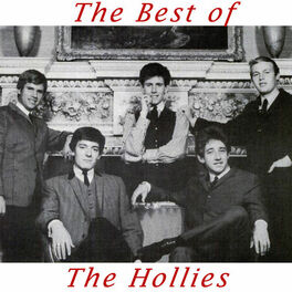 Album cover of The Best of the Hollies