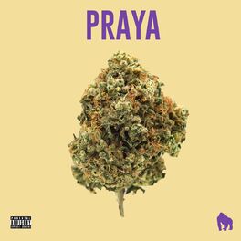 Album cover of Praya