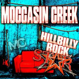 Album cover of Hillbilly Rockstar