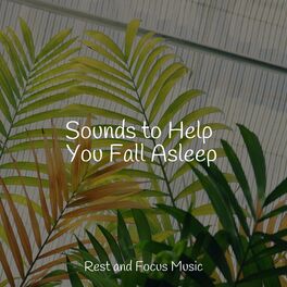 Album cover of Sounds to Help You Fall Asleep