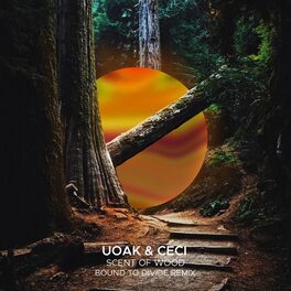 Album cover of Scent of Wood (Bound to Divide Remix)