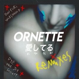 Album cover of Aishiteru Remixes