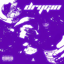 Album cover of Drygin