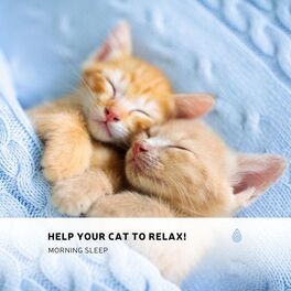 Album cover of Help Your Cat to Relax! Morning Sleep