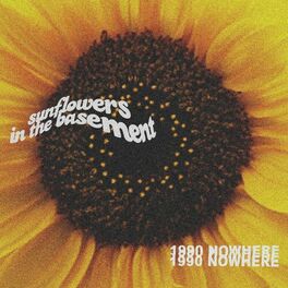 Album cover of Sunflowers in the Basement
