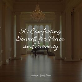 Album cover of 50 Comforting Sounds for Peace and Serenity