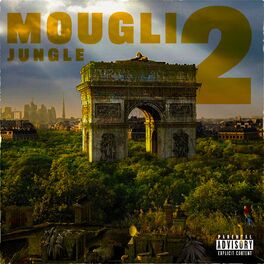 Album cover of Jungle #2