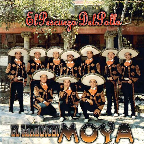 Introducir 91+ imagen pescuezo de pollo con mariachi