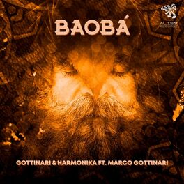 Album cover of Baobá