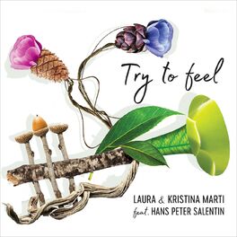 Album cover of Try to Feel (feat. Hans Peter Salentin)