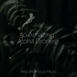 Album cover of 50 Amazing Alpha Drones