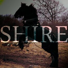 Album cover of Shire