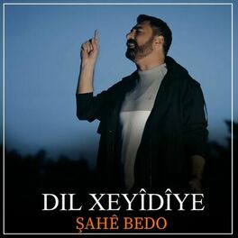 Album cover of Dil Xeyîdîme