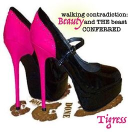 Album cover of Walking Contradiction: Beauty and the Beast Conferred