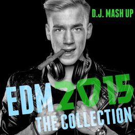 Album cover of EDM 2015: The Collection