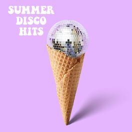 Album cover of Summer Disco Hits