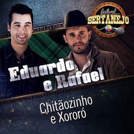 Album cover of Chitãozinho e Xororó: Festival Sertanejo (Ao Vivo)