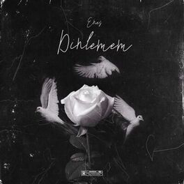 Album cover of Dinlemem