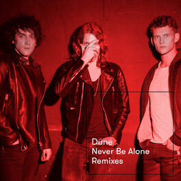 Album cover of Never Be Alone (Remixes)