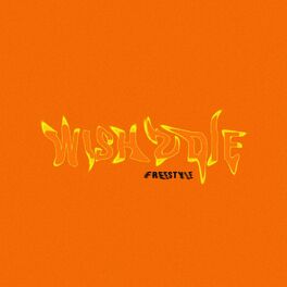 Album cover of WISH 2 DIE FREESTYLE (feat. Savage & Shareh)