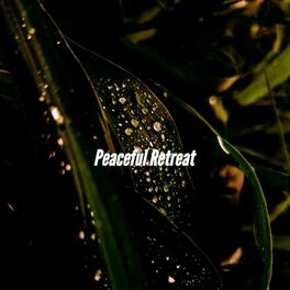 Album cover of Peaceful Retreat