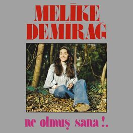 Album cover of Ne Olmuş Sana