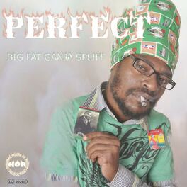 Album cover of Big Fat Ganja Spliff