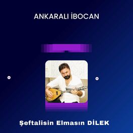 Album cover of ŞEFTALİSİN ELMASIN / DİLEK