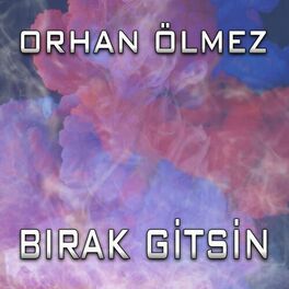 Album cover of Bırak Gitsin