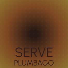Album cover of Serve Plumbago