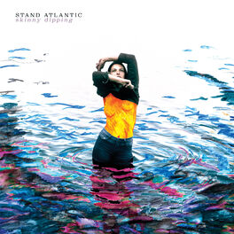 Album cover of Skinny Dipping