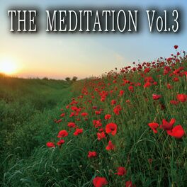 Album cover of THE MEDITATION, Vol. 3