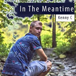 Album cover of In the Meantime