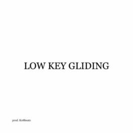 Album cover of Low Key Gliding (feat. Hal Walker)