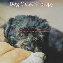 Album cover of Classic Big Band Jazz - Background for Reducing Dogs Stress