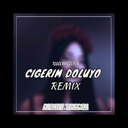 Album cover of Ciğerim Doluyor (Remix)