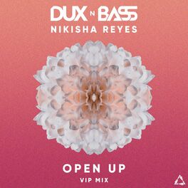 Album cover of Open Up (Vip Mix)