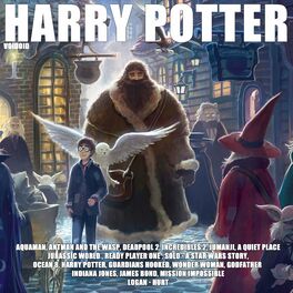 Album cover of Harry Potter