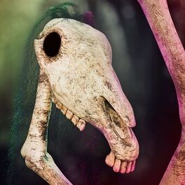 Album cover of Sueño Oscuro